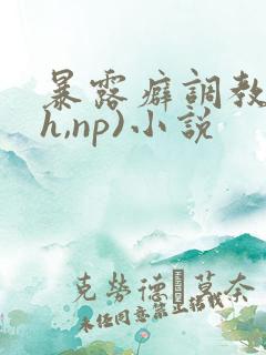 暴露癖调教(高h,np)小说