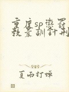 重度sp惩罚调教晨训针刑小说