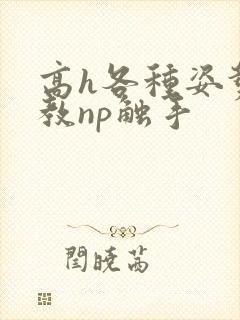 高h各种姿势调教np触手