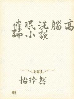 催眠洗脑高冷老师小说