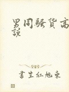 男同骚货高h小说