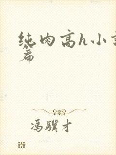 纯肉高h小说短篇