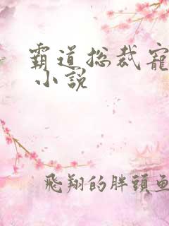 霸道总裁宠上天 小说