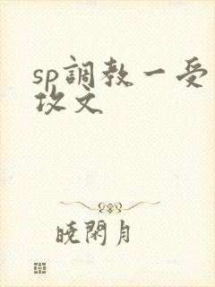 sp调教一受多攻文
