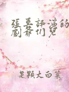 张嘉译演的电视剧爷们儿