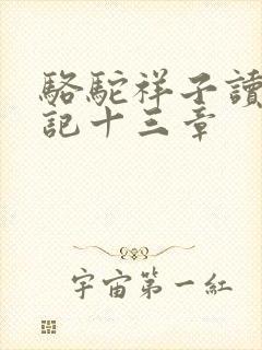 骆驼祥子读书笔记十三章