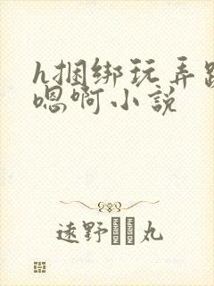 h捆绑玩弄跪趴嗯啊小说