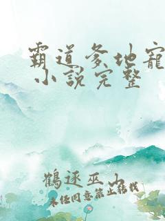 霸道爹地宠又撩 小说完整