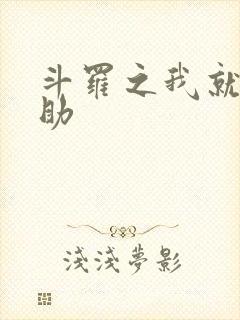 斗罗之我就是辅助