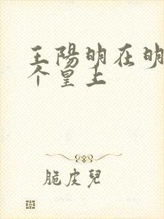 王阳明在明朝哪个皇上