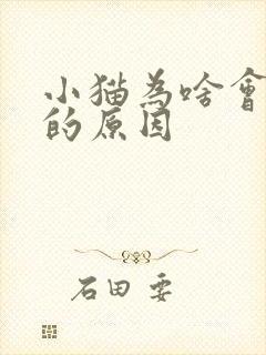 小猫为啥会踩奶的原因