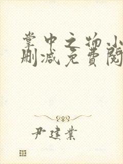 掌中之物小说无删减免费阅读全文