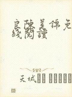 良陈美锦免费在线阅读