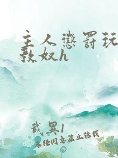 主人惩罚玩弄调教奴h