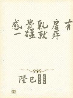 感觉乳房有硬块一碰就疼