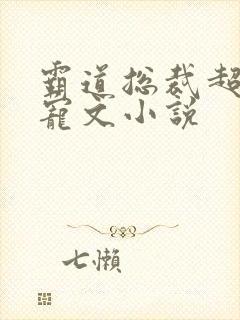 霸道总裁超甜肉宠文小说