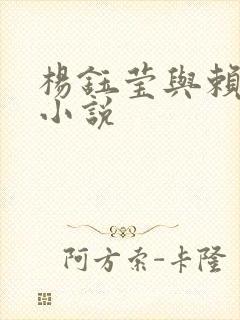 杨钰莹与赖昌星小说