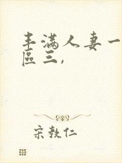 丰满人妻一区二区三,