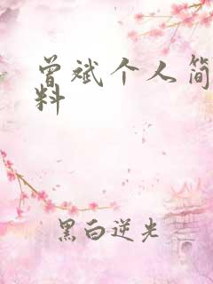 曾斌个人简介资料