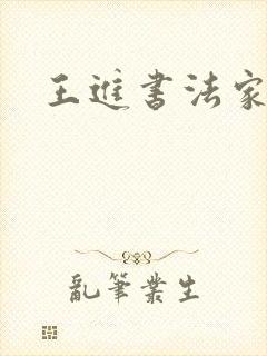 王进书法家简介