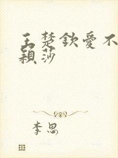 王楚钦爱不爱孙颖莎