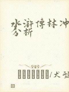 水浒传林冲人物分析