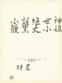 小说绝世神医:腹黑大小姐免费阅读