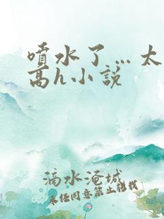 喷水了…太爽了高h小说