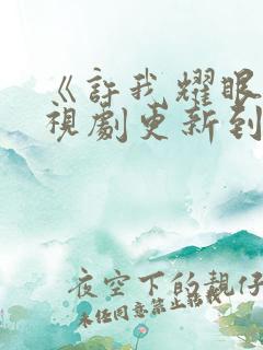 《许我耀眼》电视剧更新到几集了