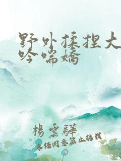 野外揉捏大乳呻吟喘娇