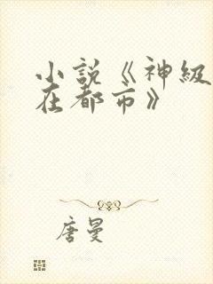 小说《神级高手在都市》