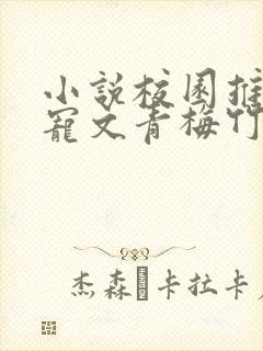 小说校园推荐甜宠文青梅竹马