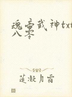 魂帝武神txt八零