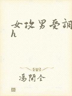 女攻男受调教高h