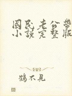 国民老公带回家小说完整版