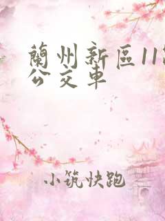 兰州新区11路公交车