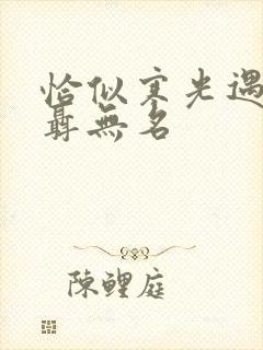 恰似寒光遇骄阳聂无名