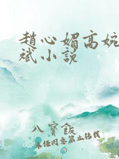 赵心媚高婉君陈斌小说