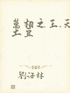 万相之王.天蚕土豆