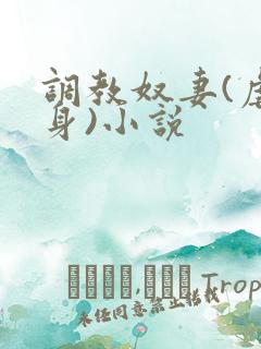 调教奴妻(虐女身)小说