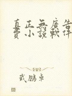 真正无广告的免费小说软件