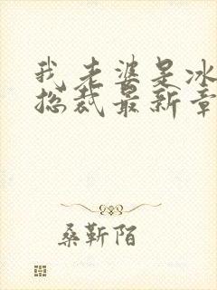 我老婆是冰山女总裁最新章节小说