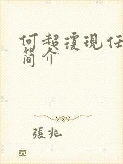 何超琼现任丈夫简介