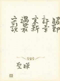 宋遇寒许昭宁小说最新章节免费阅读