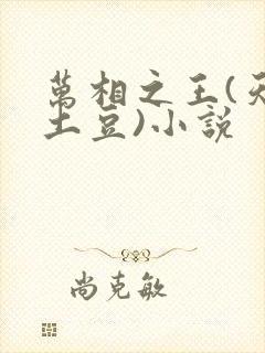 万相之王(天蚕土豆)小说