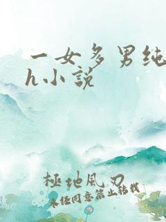 一女多男纯肉高h小说