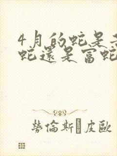 4月的蛇是苦命蛇还是富蛇