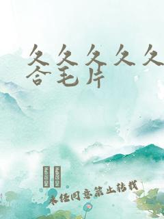 久久久久久久综合毛片