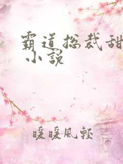 霸道总裁甜宠妻 小说