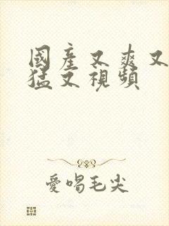 国产又爽又粗又猛又视频